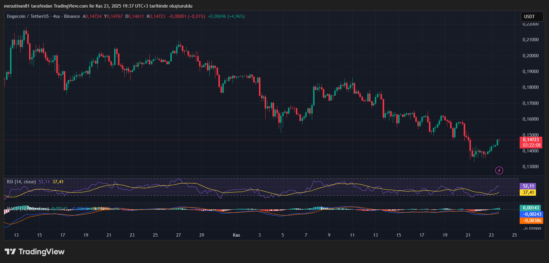 Dogecoin Fiyat Grafiği