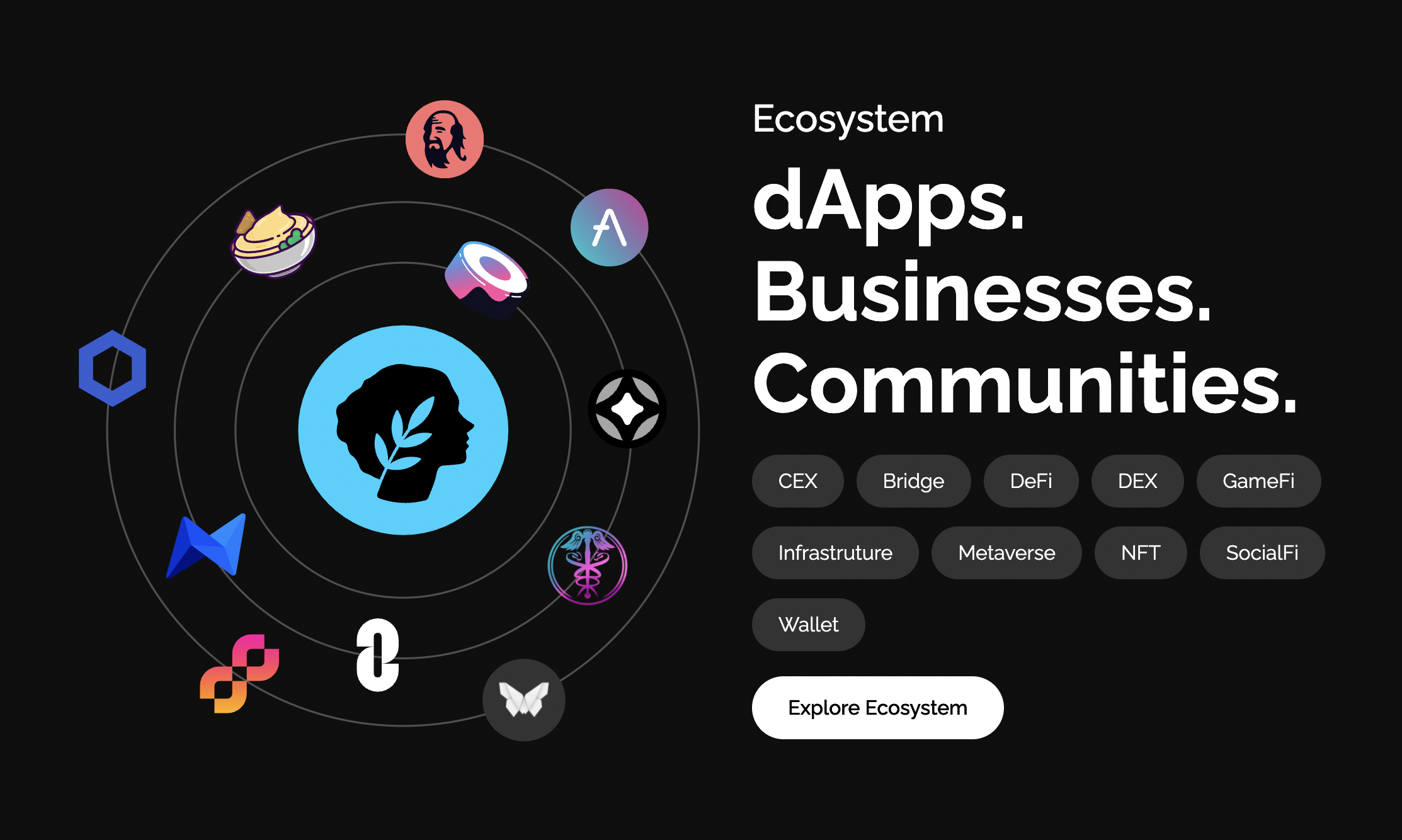 Metis Coin Nedir? - 1