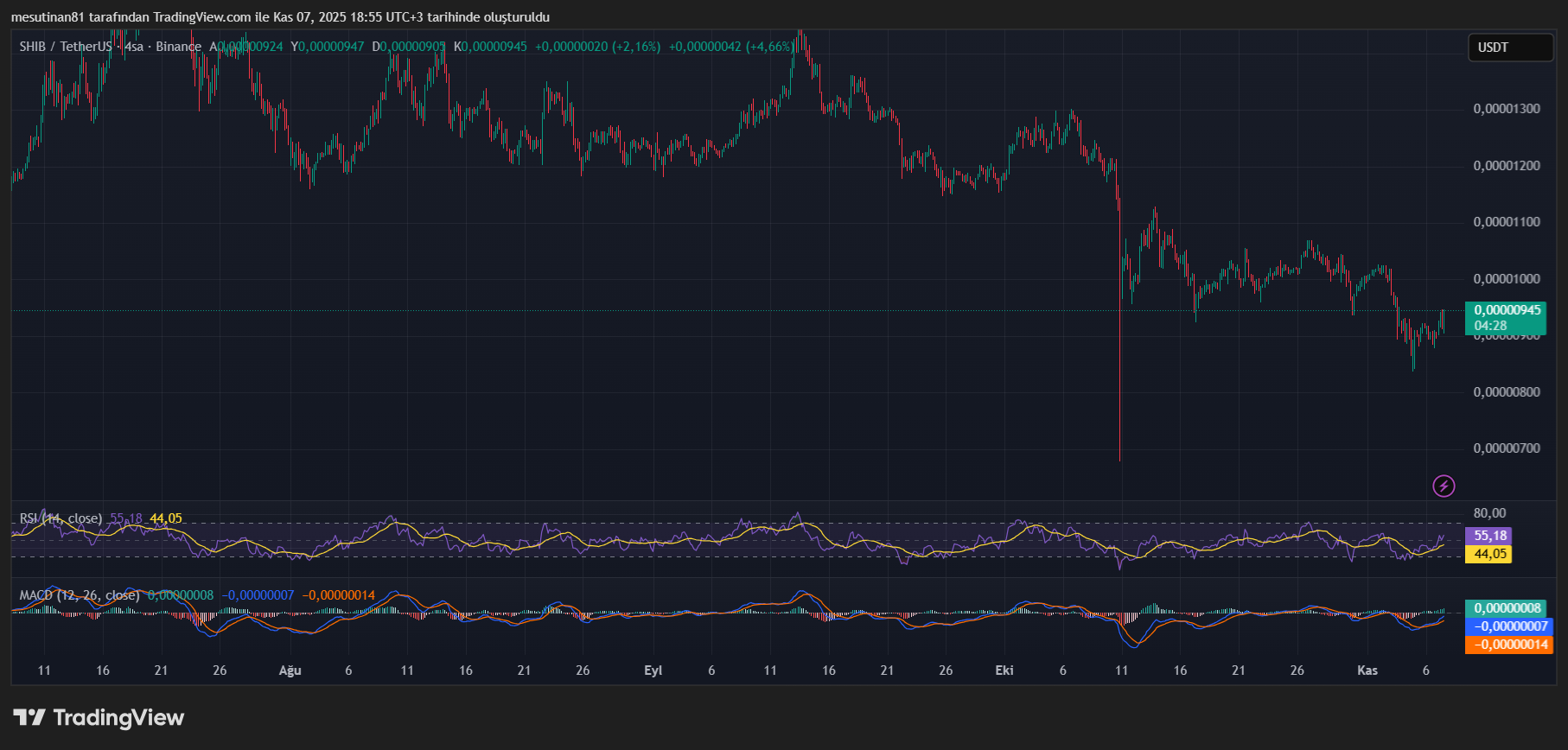 Shiba Inu Fiyat Grafiği