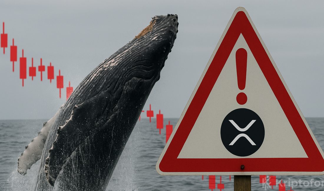 Altcoin XRP İçin Balina Alarmı: Düşüş Riski Yeniden Belirdi XRP’de 1 milyon dolar üstü 716 balina işlemi son dört