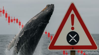 XRP’de 1 milyon dolar üstü 716 balina işlemi son dört