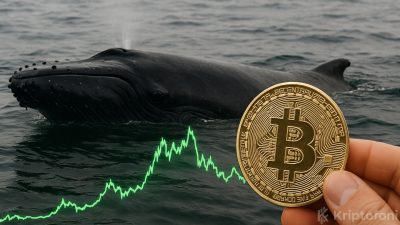 Bitcoin’de fiyat 90.000 doların altına inince balina aktivite sayısında ciddi