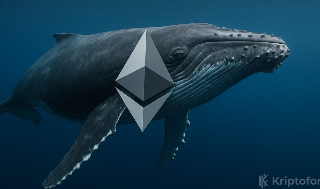 Ethereum Balinası 422 Bin ETH Biriktirdi: Fiyat Baskı Altında Ethereum 3.200 dolar civarında baskı altında seyrederken bir balina 4