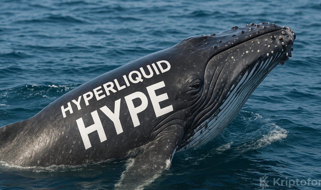 HYPE Balinası Rotayı Tersine Çevirdi: Dudak Uçuklatan Hamle Akıllı balina 0x7fe8, iki HYPE short işleminden 457 bin dolar