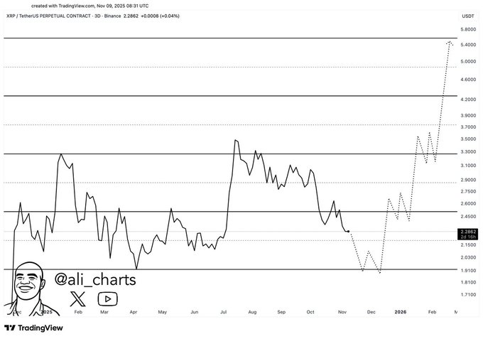 Ali Martinez XRP Grafiği