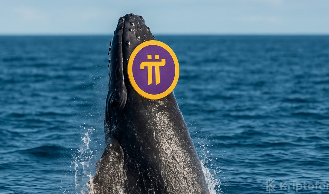 Pi Coin Fiyatı Sıçramaya Hazırlanıyor: Dev Balina 381 Milyonu Aştı Pi Coin fiyatı çift dip formasyonunun desteklediği teknik görünümle 0,2920