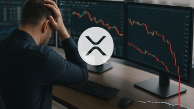 Glassnode, XRP’de karda olan arzın %58,5 ile Kasım 2024’ten beri