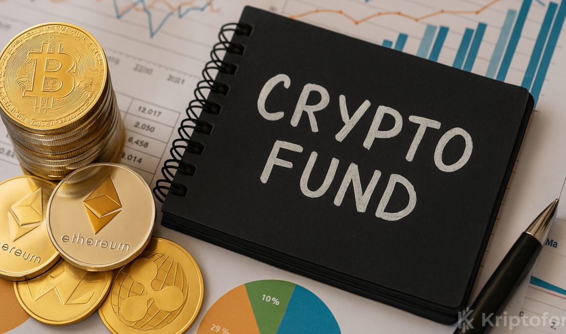 Lighter, Founders Fund ve Ribbit Capital liderliğinde 68 milyon dolar