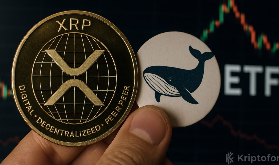 XRP’de ETF Paradoksu: Balina Satışı ve 41 Günde 1,1 Trilyon XRP, spot ETF’e rağmen yaklaşık yüzde 11 geriledi. Balina satışları