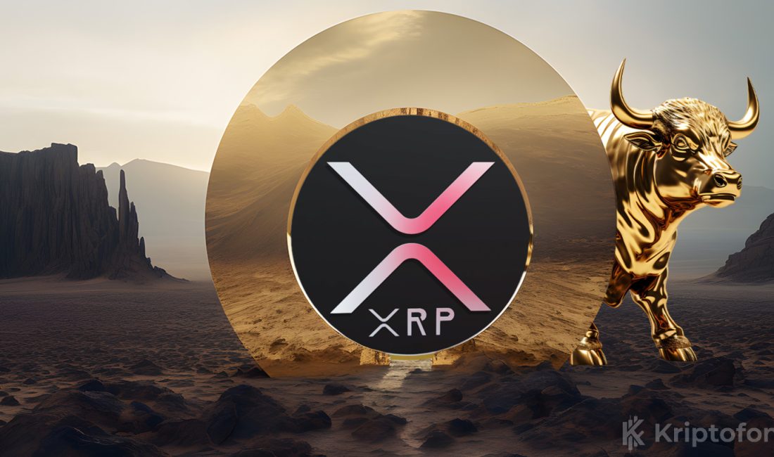 Fintech devi Ripple, 40 milyar dolarlık değerlemeye ulaşarak 500 milyon