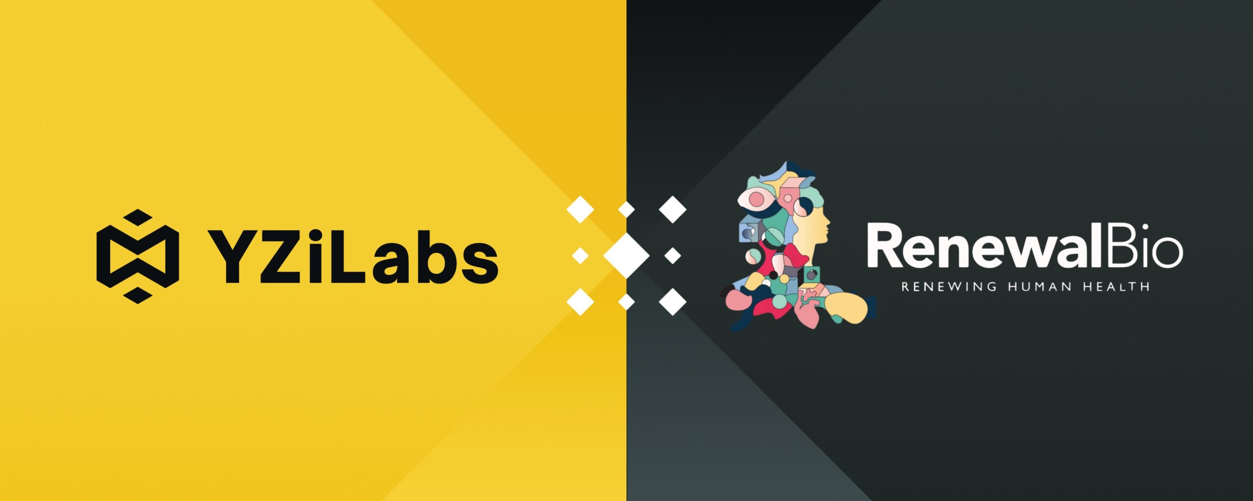 YZi Labs ve Renewal Bio