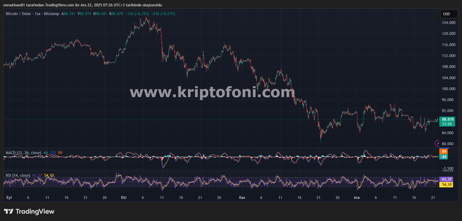 Bitcoin Fiyat Grafiği