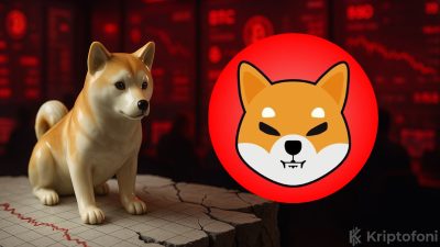 Shiba Inu için ünlü bir isim yolun sonunun geldiği görüşünde.