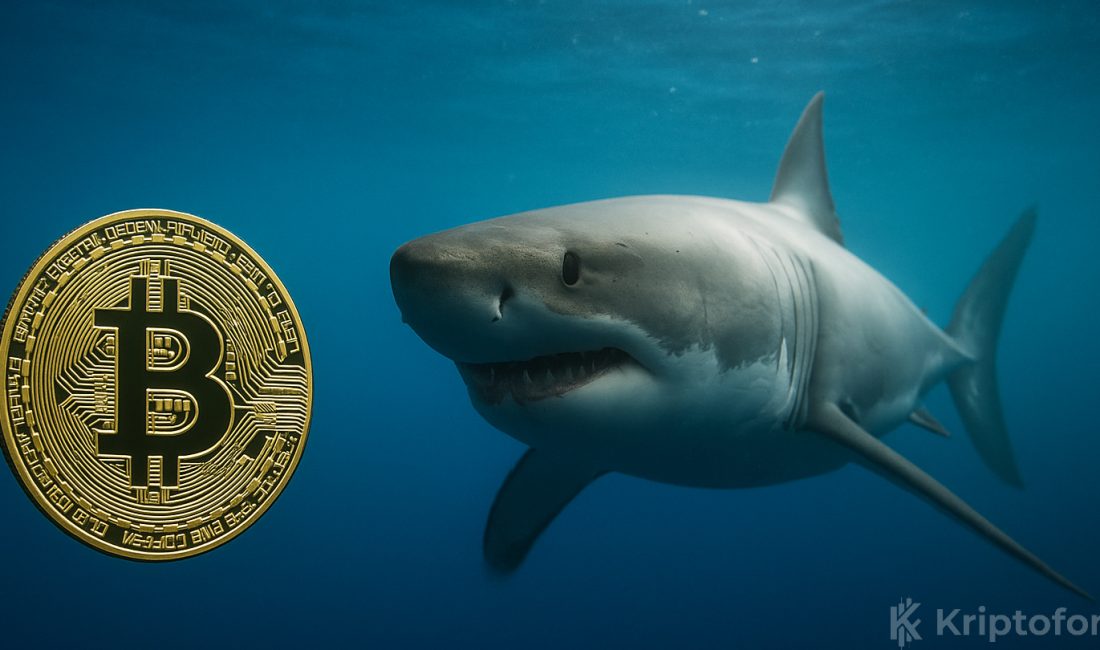 Onchain Lens, Binance ve Kraken üzerinden 13,89 milyon dolar daha