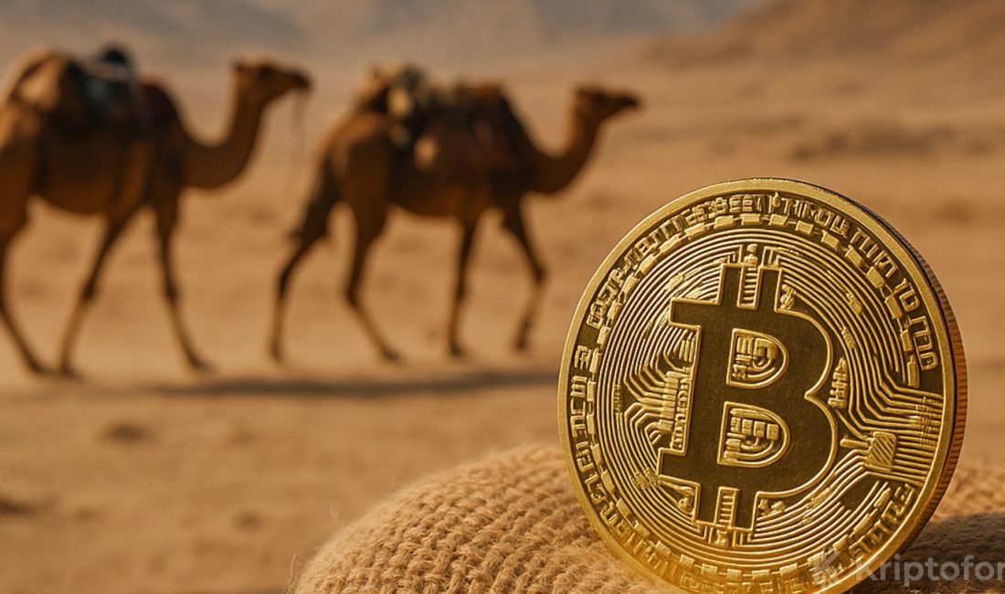 Silk Road bağlantılı Bitcoin cüzdanları 176 işlemle 3,14 milyon dolar