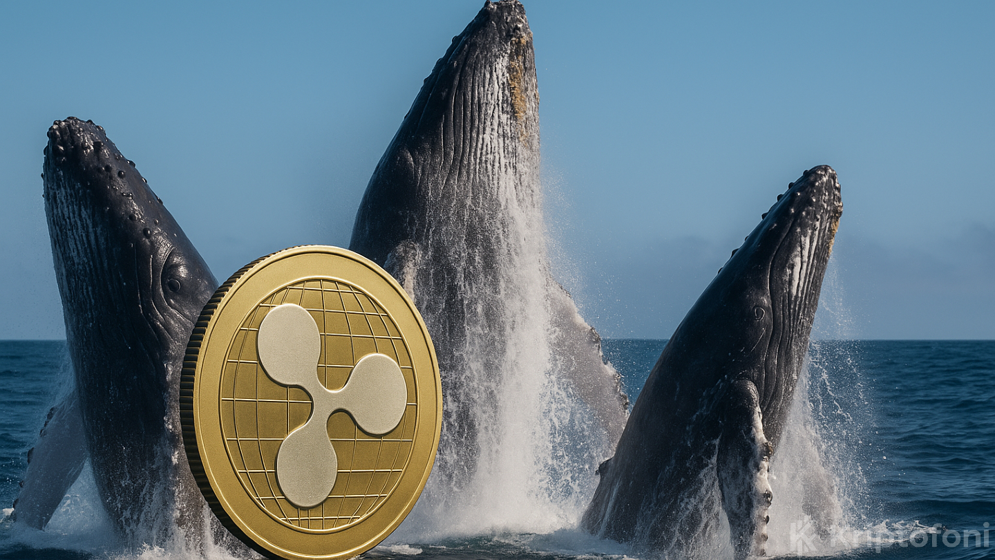 Büyük balina cüzdanları son haftada 510 milyon XRP sattı. Satışlar,