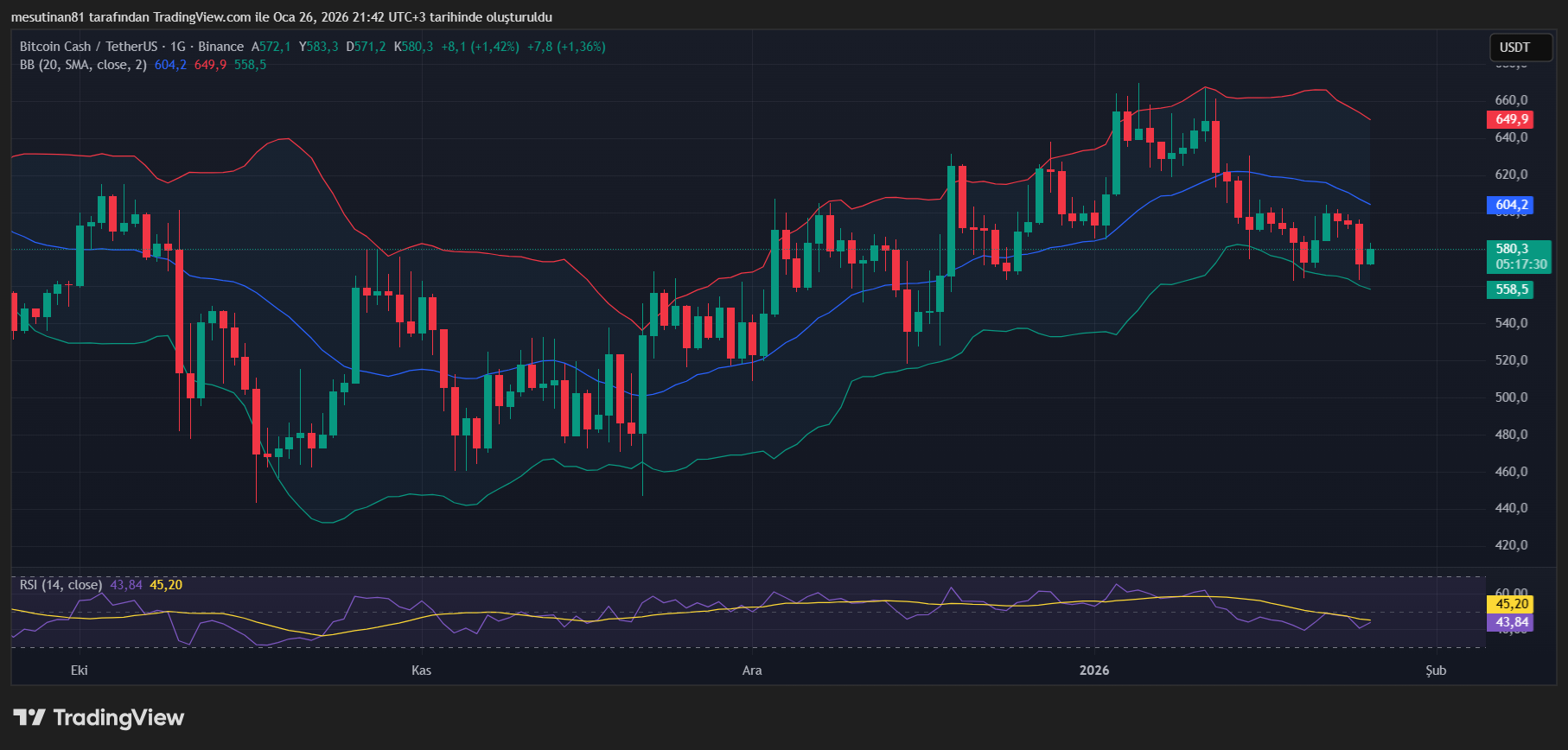 Dogecoin, Cardano ve Bitcoin Cash: Nefes Almak İçin Mücadele Sürüyor - 1