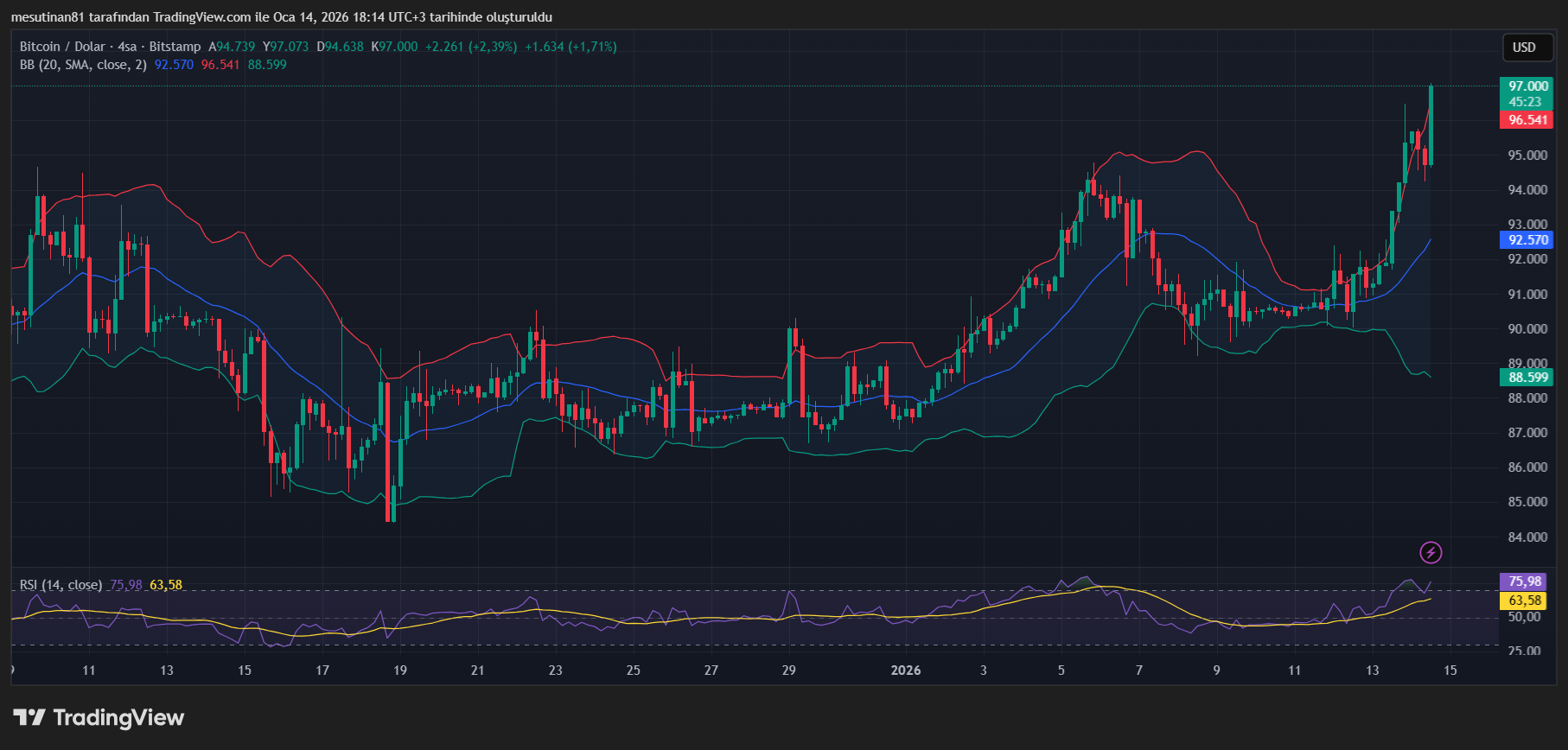 Bitcoin Fiyat Grafiği