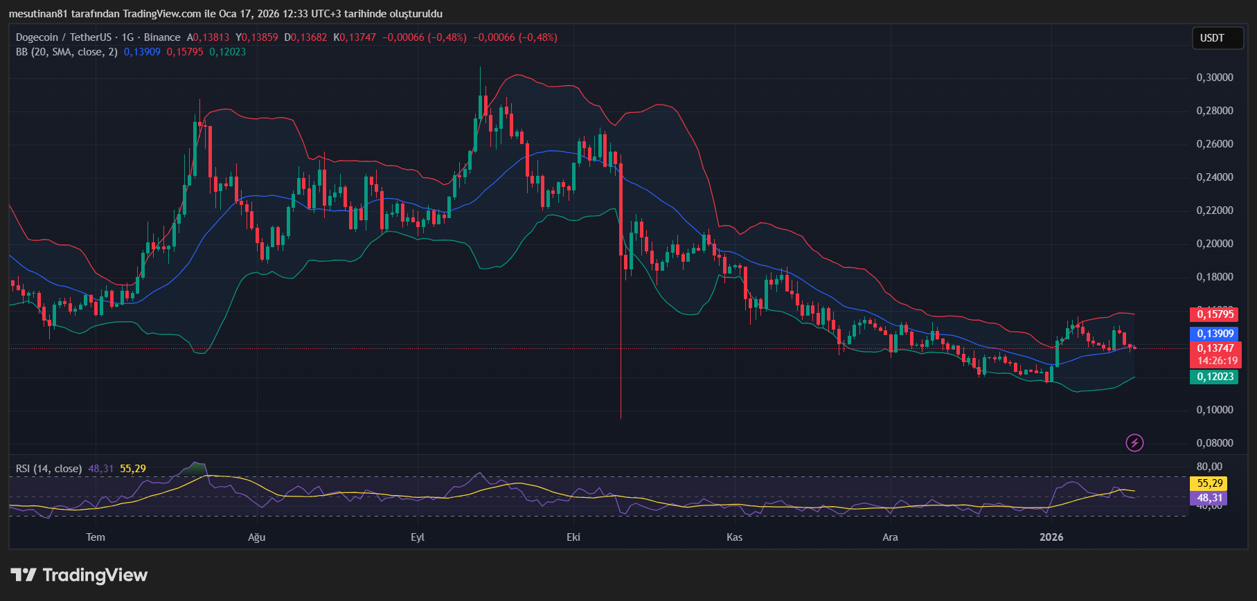 Dogecoin Fiyat Grafiği