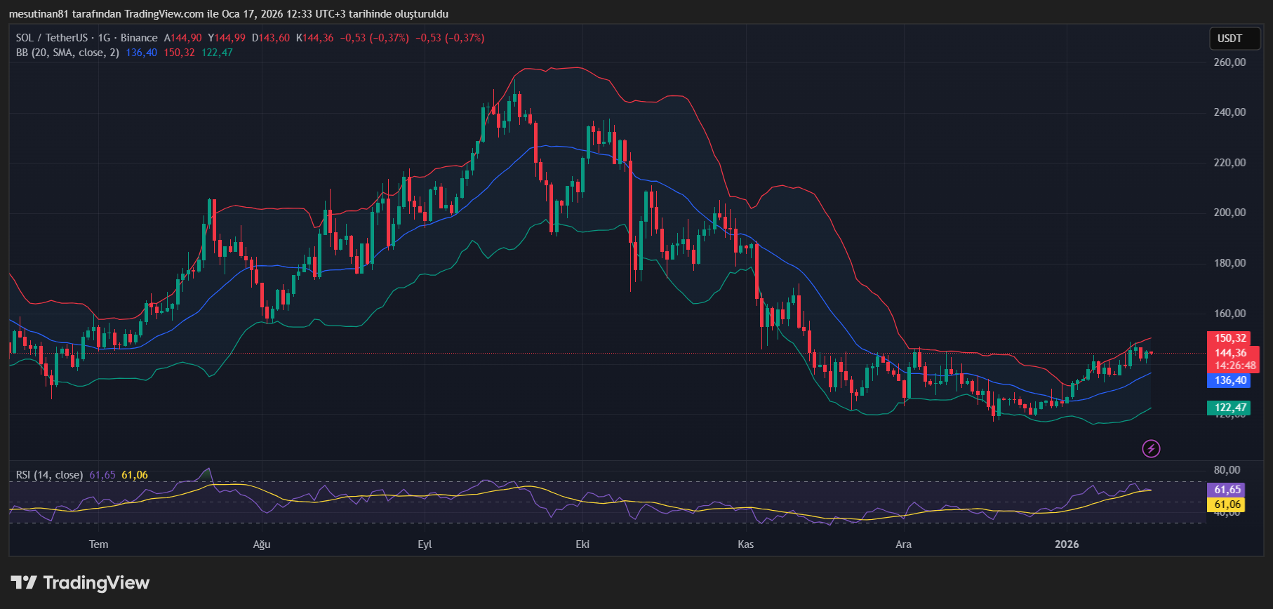 Altcoin SOL Fiyat Grafiği