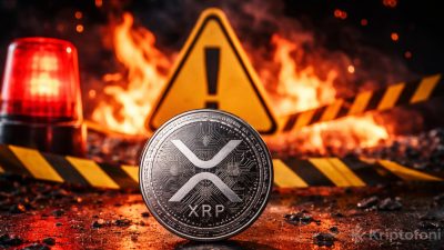 Ripple'ın Eski Yöneticilerinden David Schwartz copy trading yönteminin görünmeyen riskler