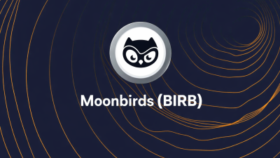 Moonbirds (BIRB), Moonbirds karakter fikri mülkiyetini (IP) meme kültürü ve