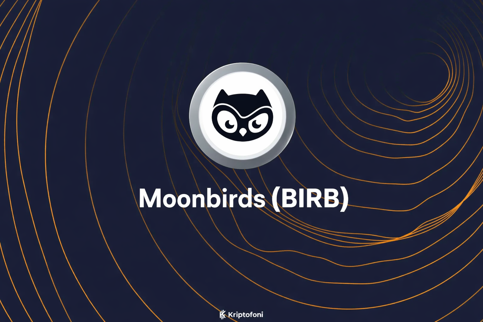 Moonbirds (BIRB), Moonbirds karakter fikri mülkiyetini (IP) meme kültürü ve