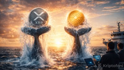 XRP balinaları fiyatlar yükselirken güçlü bir güven sinyali veriyor; Minotaurus