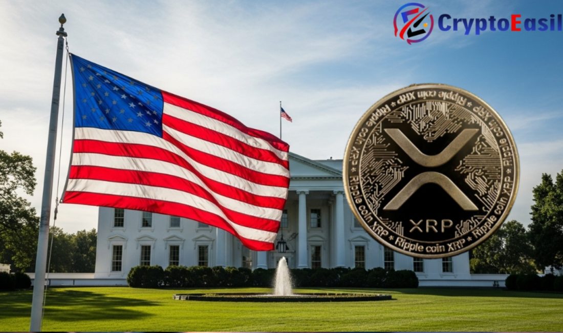 Son zamanlarda XRP (Ripple) piyasası önemli bir dalgalanma yaşadı ve