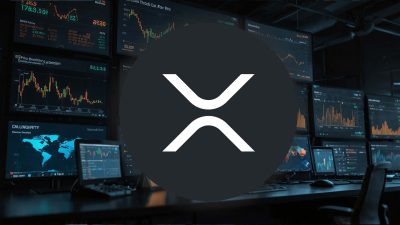 Piyasa analisti Zach Rector XRP'nin kısa vadeli yönünü belirleyebilecek kritik
