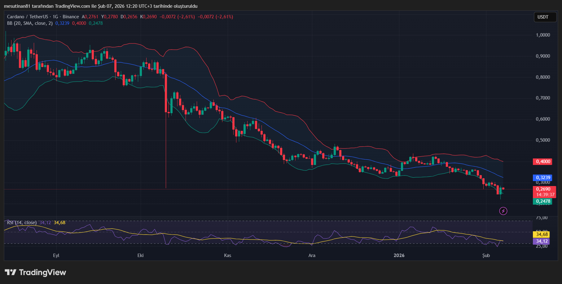 ADA Coin Fiyat Grafiği