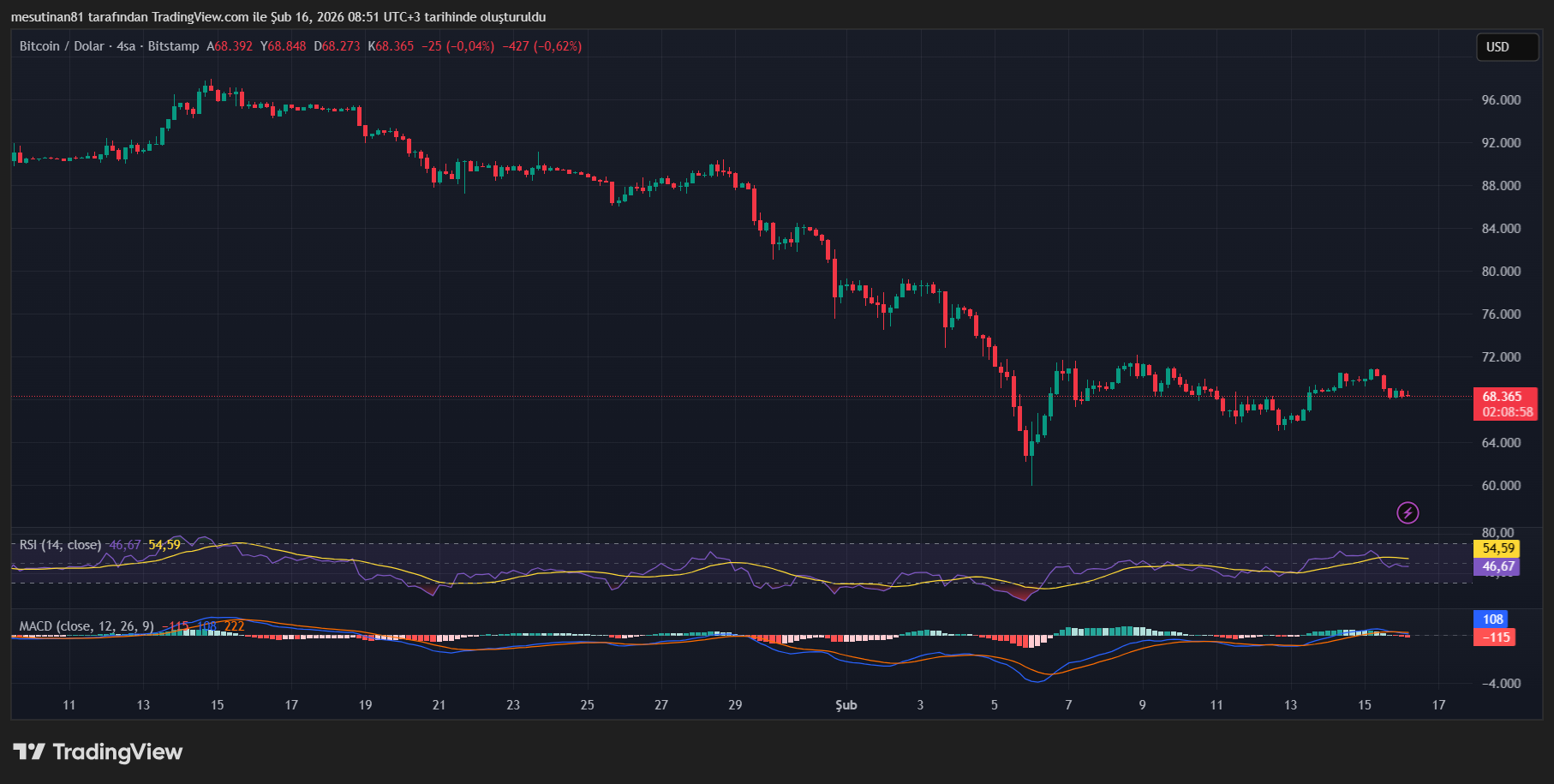 Bitcoin Fiyat Grafiği