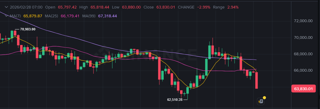 Bitcoin Fiyat Grafiği