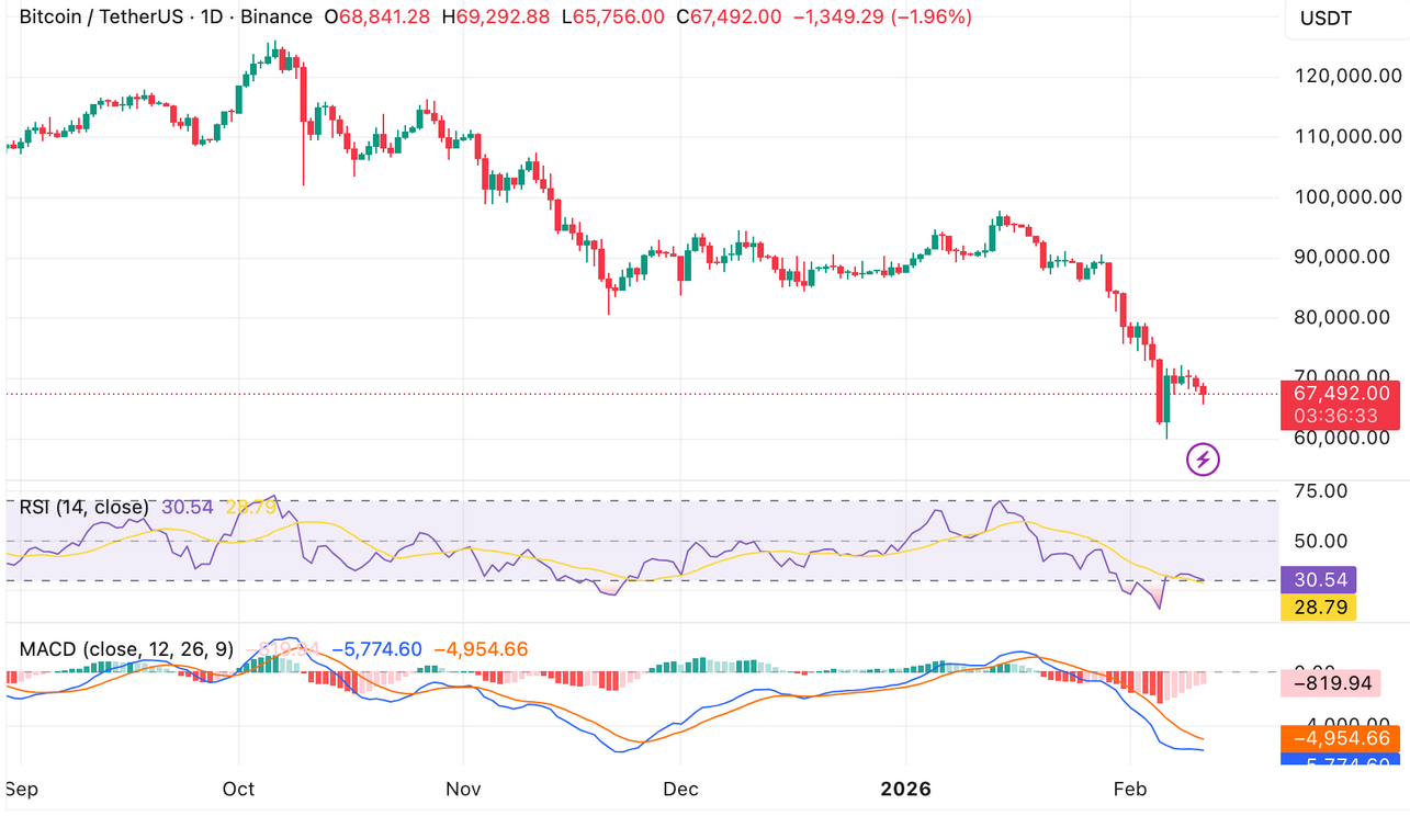 Bitcoin Fiyat Grafiği
