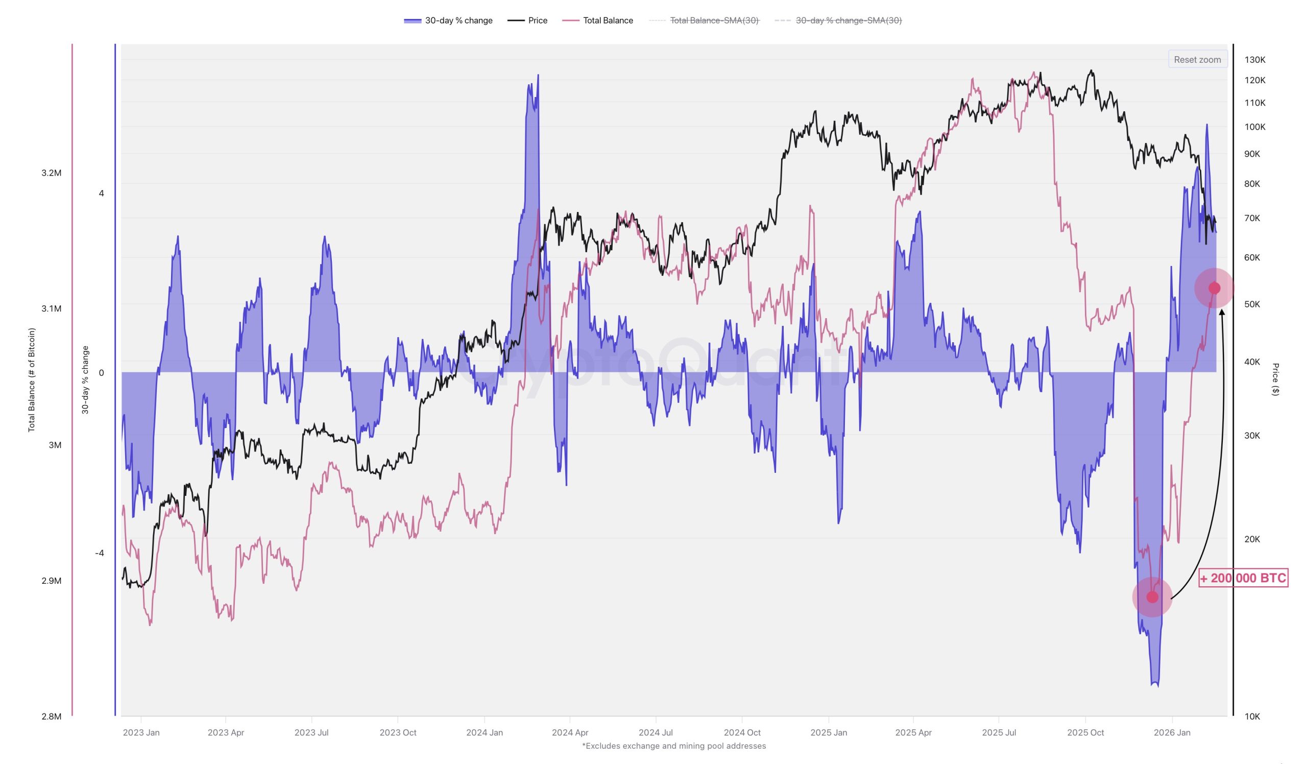 Bitcoin Balina Verisi