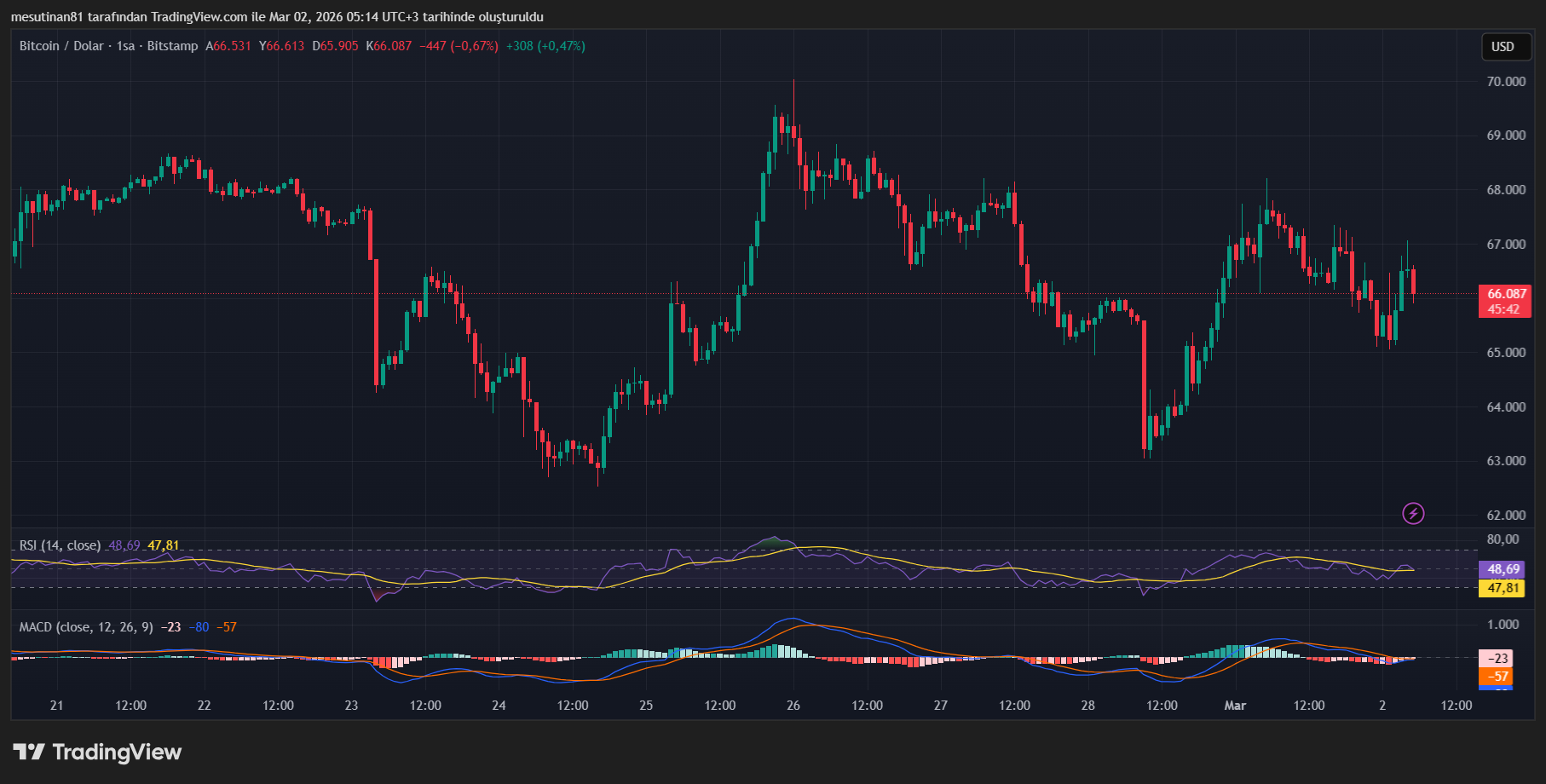 Bitcoin Fiyat Grafiği