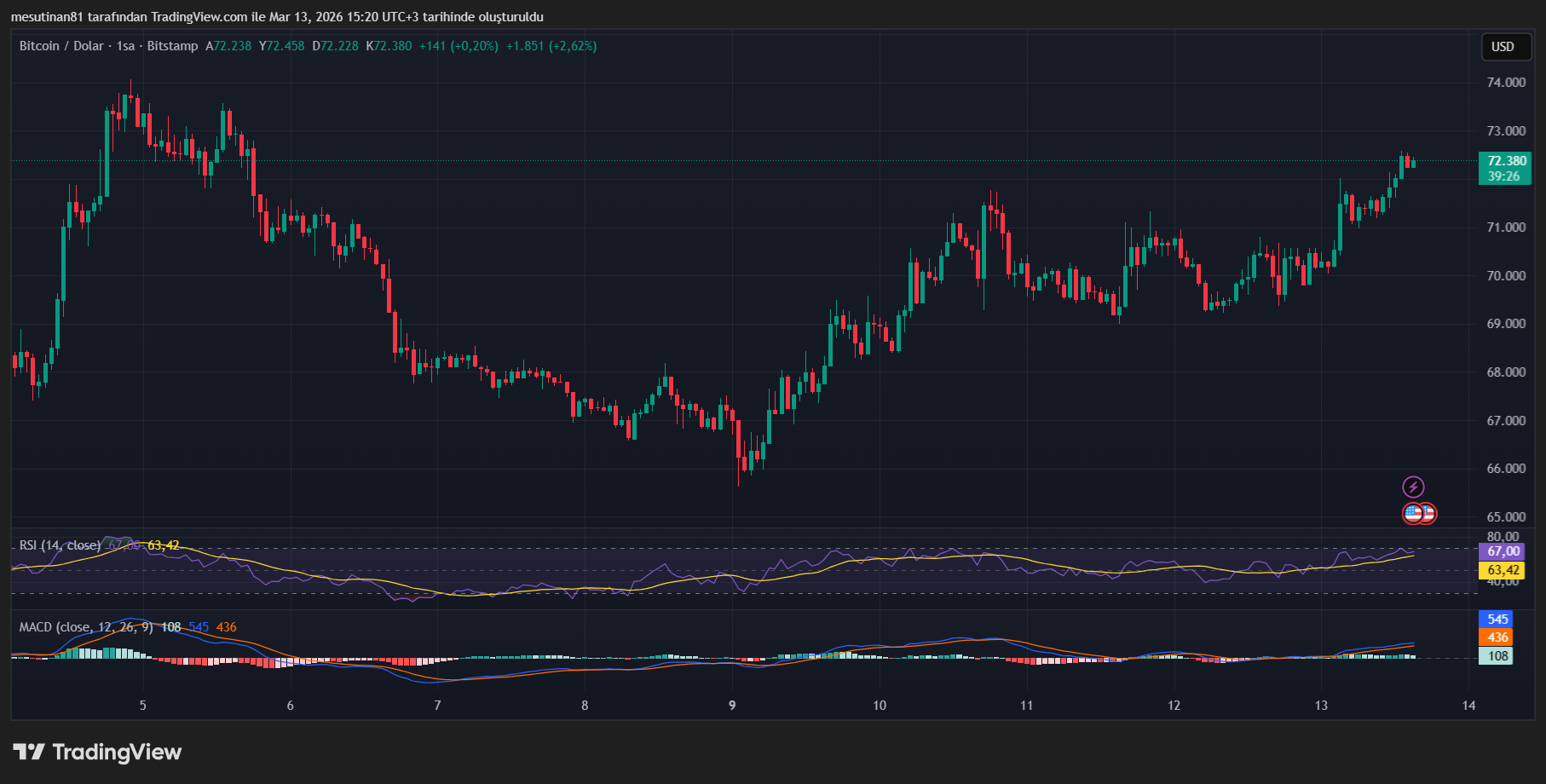 Bitcoin Fiyat Grafiği