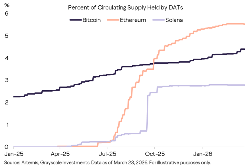 Kurumsal Kripto Para Hazine Şirketlerinin Dolaşımdaki Arz Yüzdesi