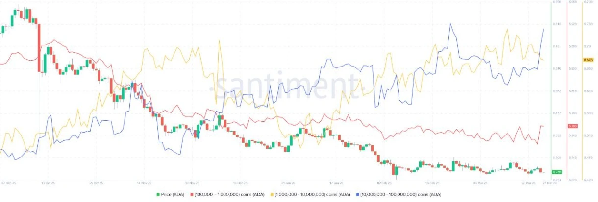 Santiment ADA Verisi