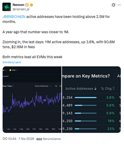 BNB Chain’e Dair Nansen Verisi