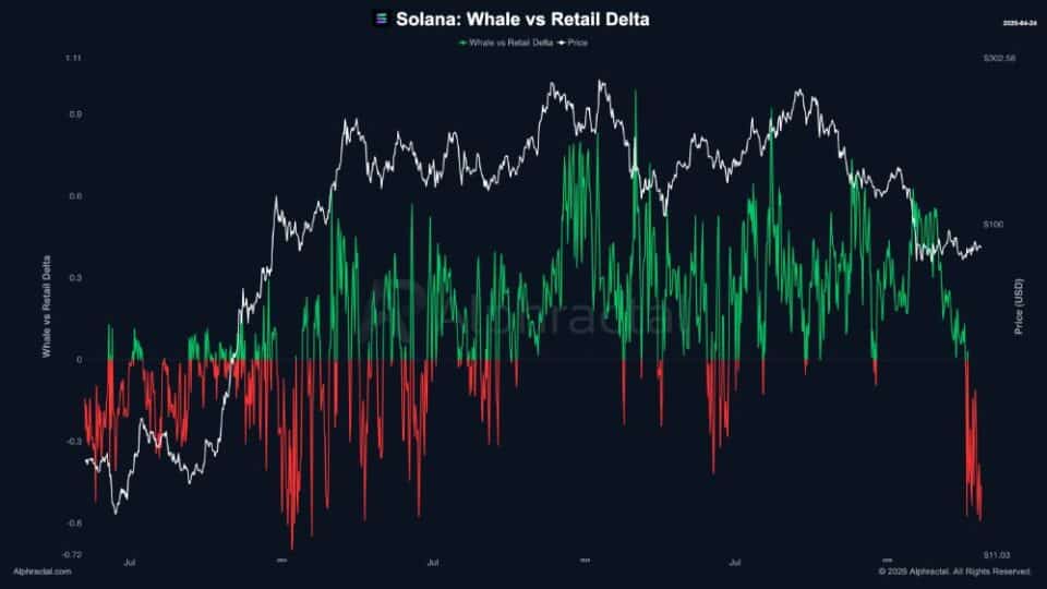 Solana Balina ve Bireysel Yatırımcı Verisi