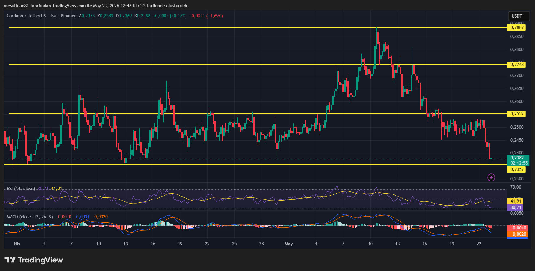 Binance ADA Coin Fiyat Grafiği