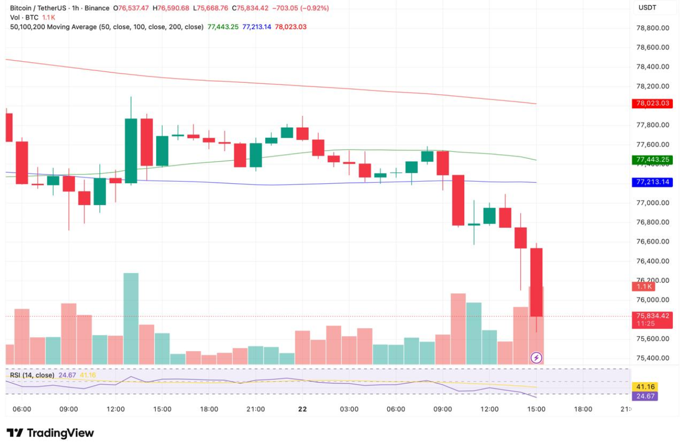 Bitcoin Fiyat Grafiği