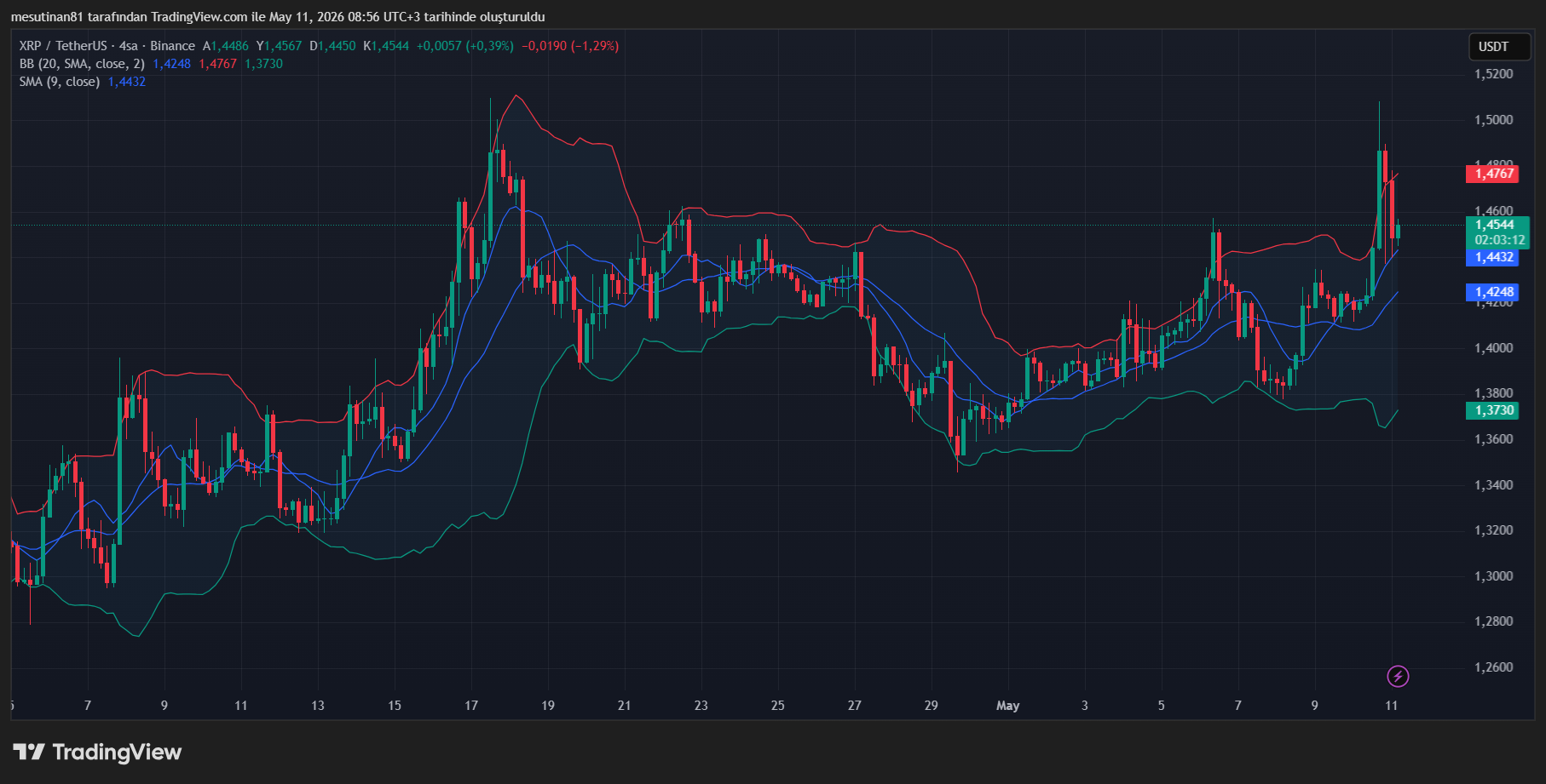 XRP Fiyat Grafiği