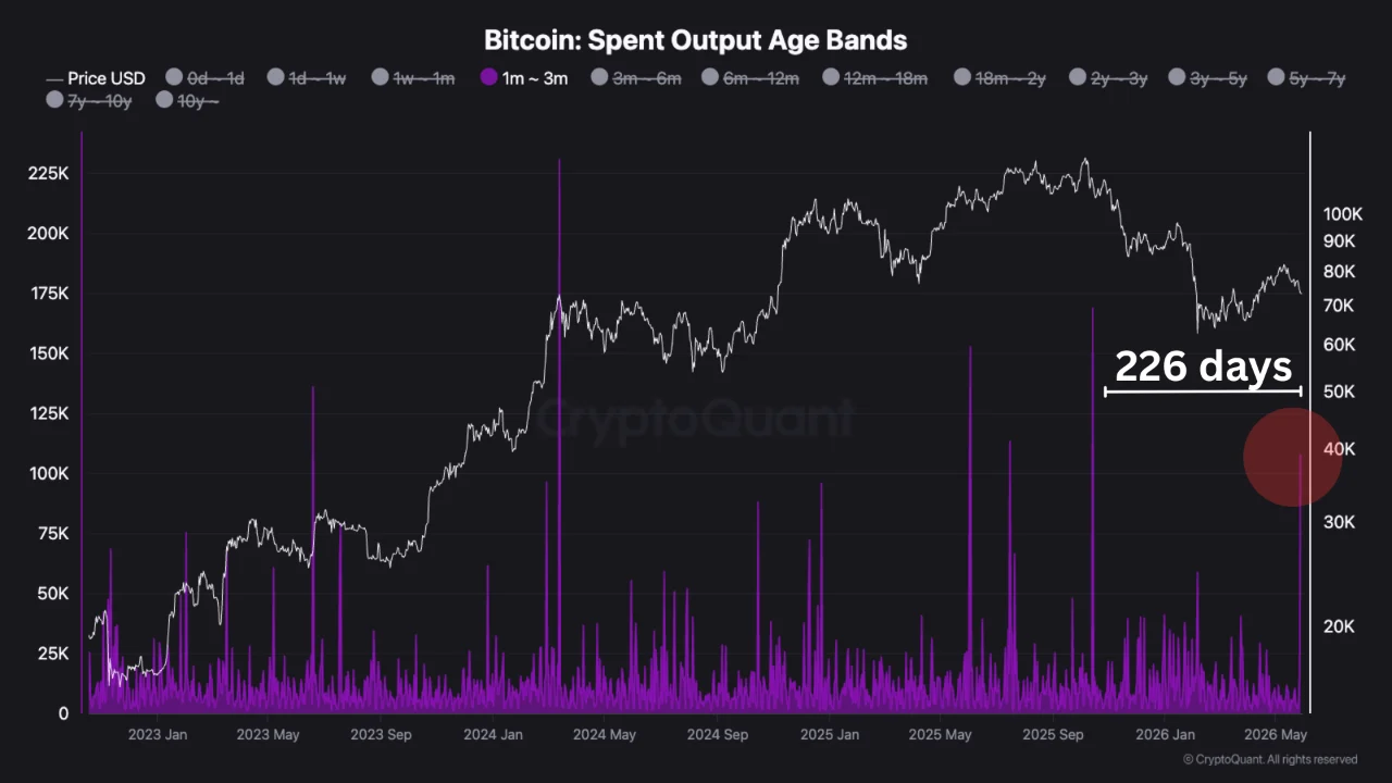 Bitcoin Harcanan Çıktı Yaş Grubu