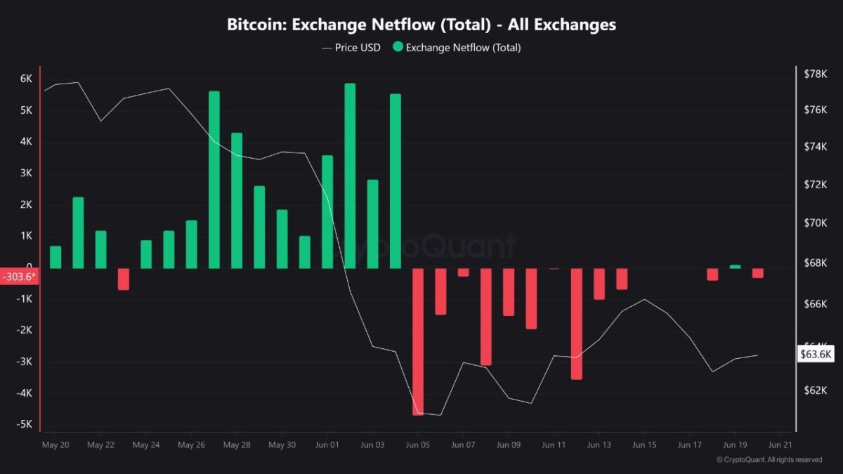 Bitcoin Exchange Netflow Verisi