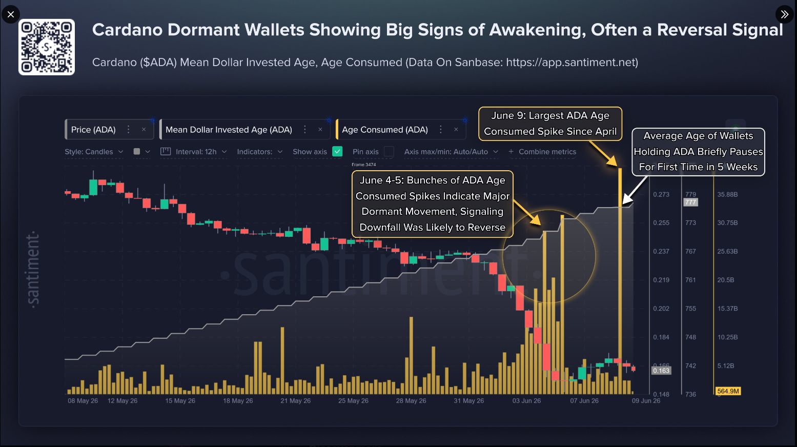 Santiment Cardano Verisi