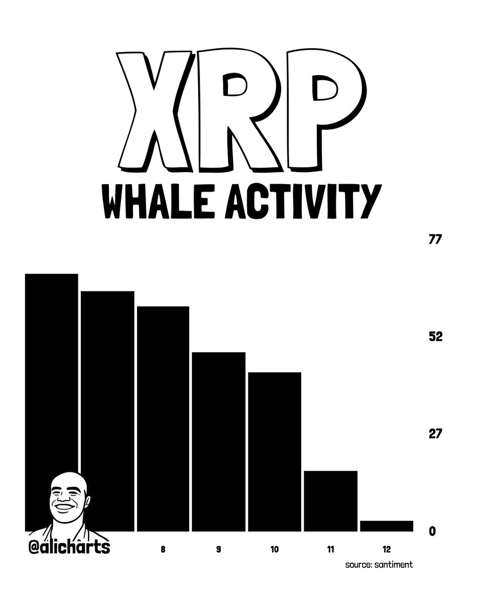 XRP Balina Aktivitesi