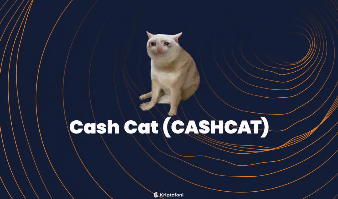 Cash Cat (CASHCAT), Robinhood’un kuruluş döneminde düşünülen “Cash Cat” isminden