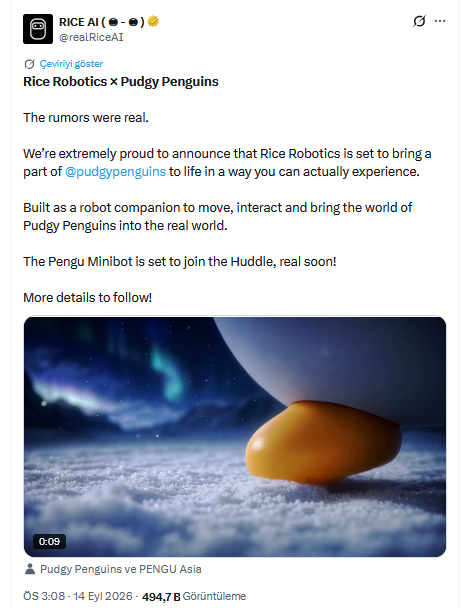 Pudgy Penguins Ortaklığı